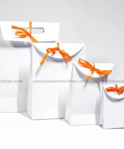 بگ گلاسه ربانی