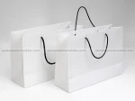 بگ گلاسه دسته بندی